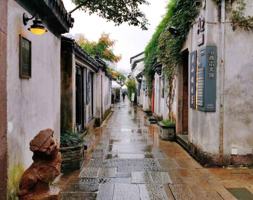 全村的希望